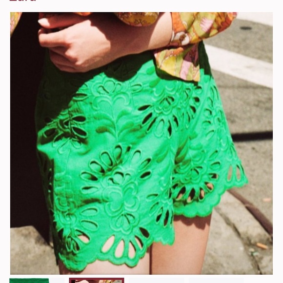 NWT ZARA SHORTS - Picture 1 of 3